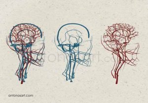medical illustration Brain Circulatory System antonosart